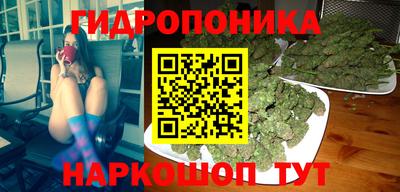 стаф Пугачёв